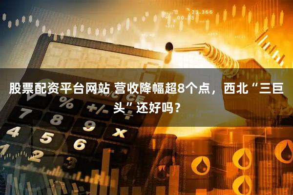 股票配资平台网站 营收降幅超8个点，西北“三巨头”还好吗？