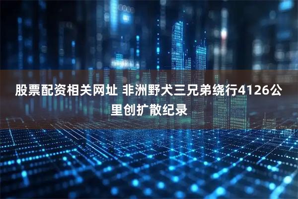 股票配资相关网址 非洲野犬三兄弟绕行4126公里创扩散纪录