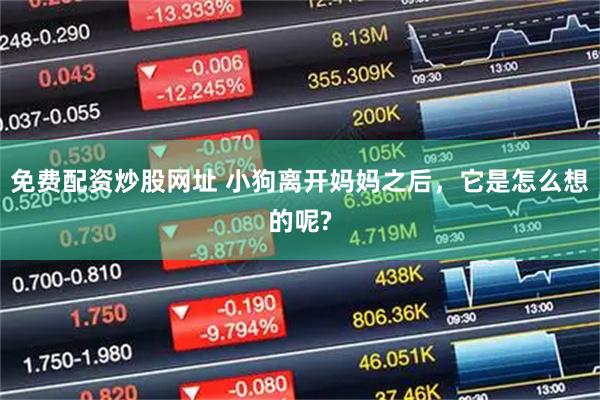 免费配资炒股网址 小狗离开妈妈之后，它是怎么想的呢?