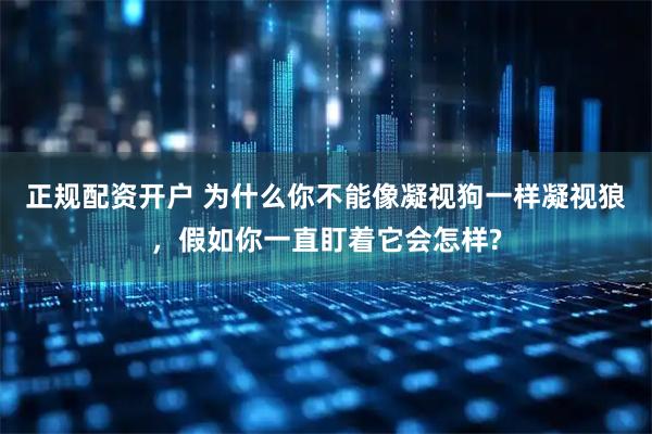 正规配资开户 为什么你不能像凝视狗一样凝视狼，假如你一直盯着它会怎样?